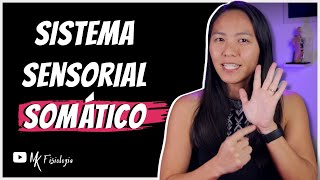 SISTEMA SENSORIAL SOMÁTICO (SOMATOSSENSORIAL): TATO E TEMPERATURA | MK Fisiologia