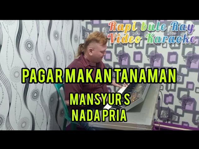 PAGAR MAKAN TANAMAN - Mansyur S | Karaoke | Nada Pria | Lirik class=