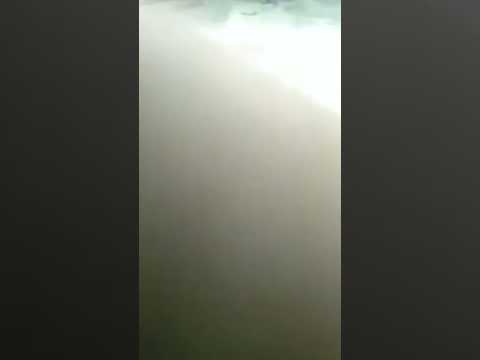 الفيديو اللي قالب السوشيال ميديا فيديو البنت الهنديه