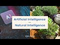 What We Can Learn From Natural Intelligence