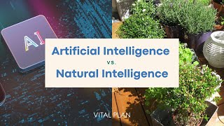 What We Can Learn From Natural Intelligence