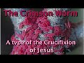 Richard Cleghorn - The Crimson Worm 11-12-17