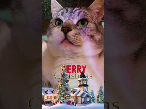🎄С НОВОГОДНИМИ ПРАЗДНИКАМИ! MERRY CHRISTMAS!🎄#short #shortvideo