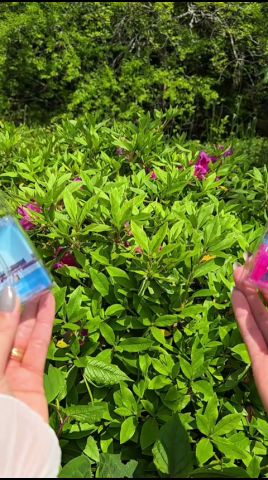【京都なのに混雑ゼロ】穴場1日おでかけプラン🌈