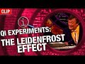 QI | The Leidenfrost Effect