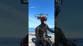 Octopus VS Human 😱