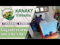 Kanaky Terraria - Terrario para pitón reticulada 200x80x80