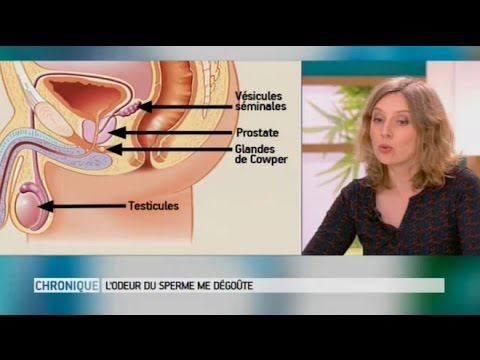 Vidéo: Odeur De Sperme: Pourquoi C'est Louche, Comme Le Chlore Ou Les œufs Pourris Et Mo