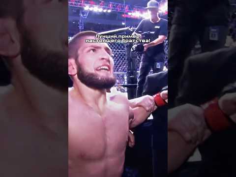 Заступились за Брата 🔥/ #2025 #mma #ufc #sports #youtubeshorts #shorts #dagestan #russia