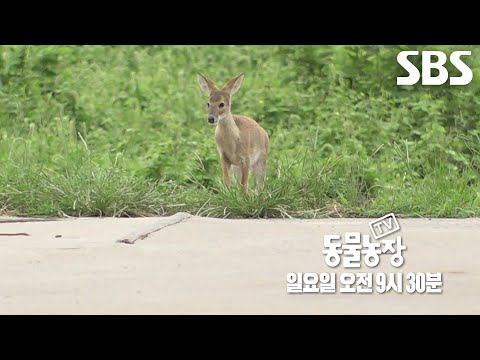 [11월 17일 예고] 이제는 볼 수 없는 ‘고란희’와의 가슴 절절 사랑 이야기