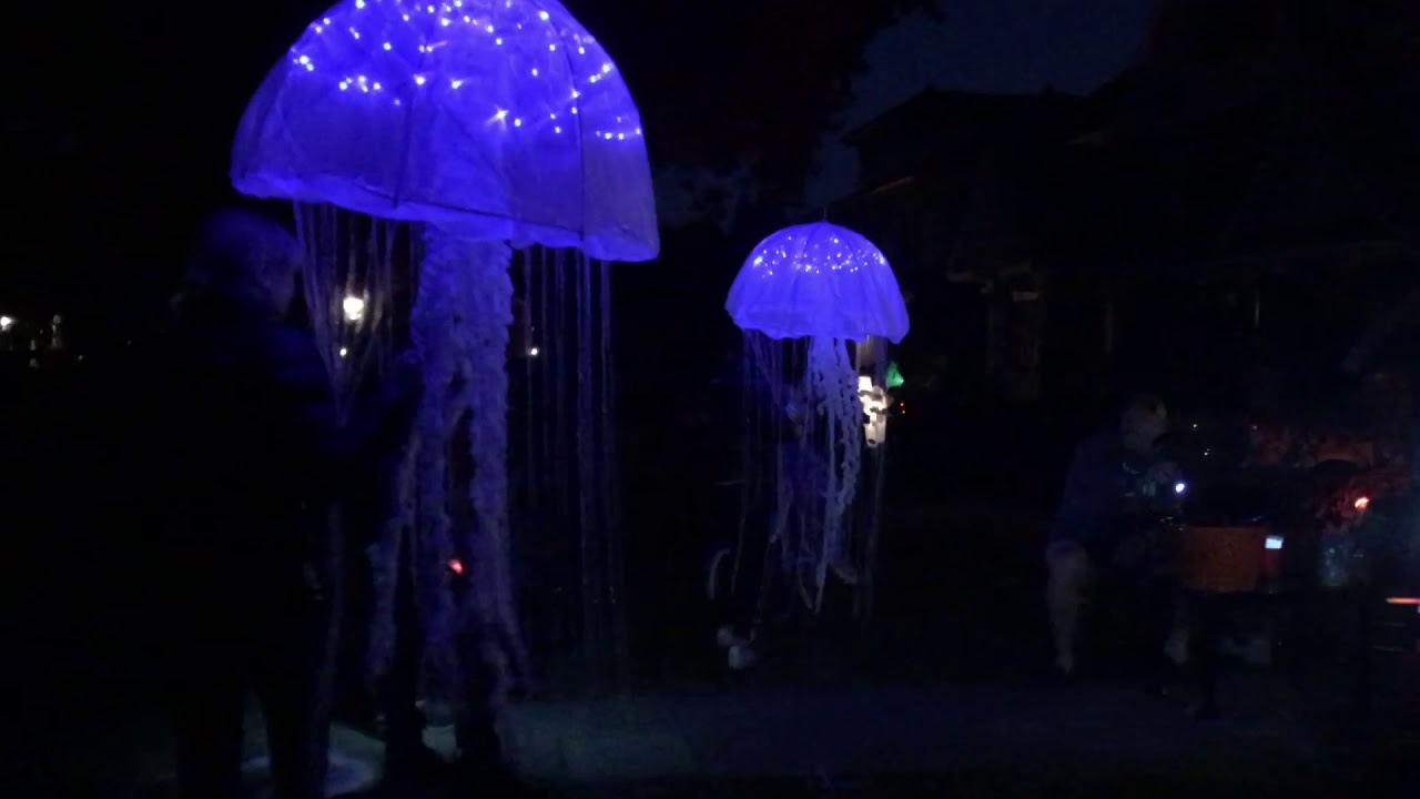 Halloween Jellyfish Costumes
