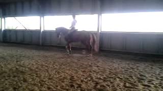 Video 2012 12 16 13 49 48