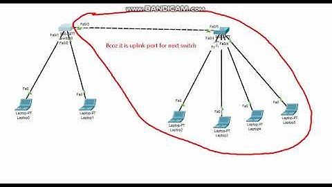 Why Show mac-address table commad showing multiple mac-addresses   against single port?