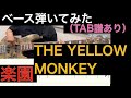 THE YELLOW MONKEY / 楽園 ベースカバー(タブ譜あり)