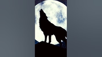 Thumbnail of Wolf Howling Sound🐺