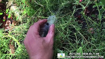 Đầu tưới cắm gốc phun nước 360 độ Florain tưới khay rau, cây cảnh sân thượng, ban công