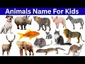35 Animals Name For Kids | Learn Animals Name In English With Pictures And Videos | 35 Animals Name