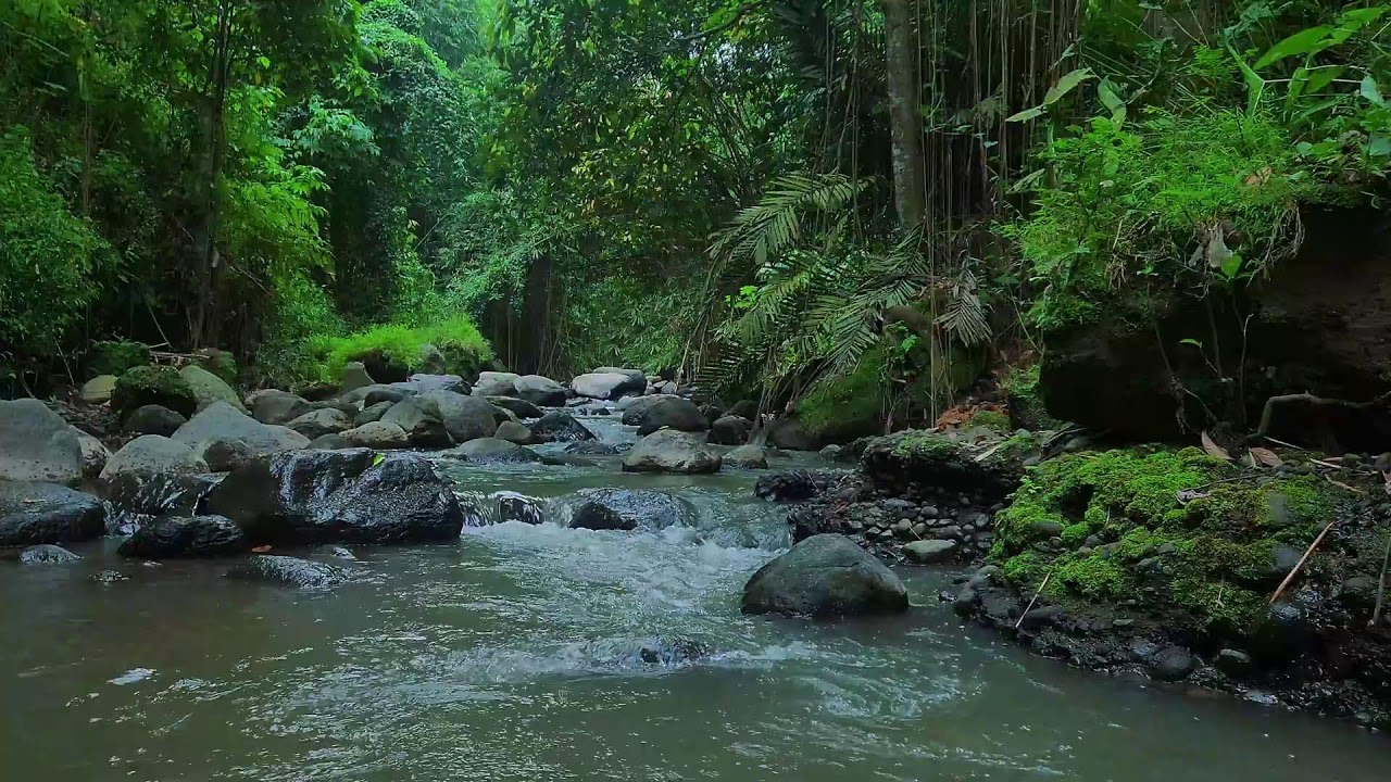 Purest Sounds of water – Amberglass Stream — clean audio, no birds.