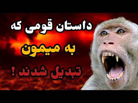 وای خدای من ! داستان قومی که ب میمون تبدیل شدند | universe TV