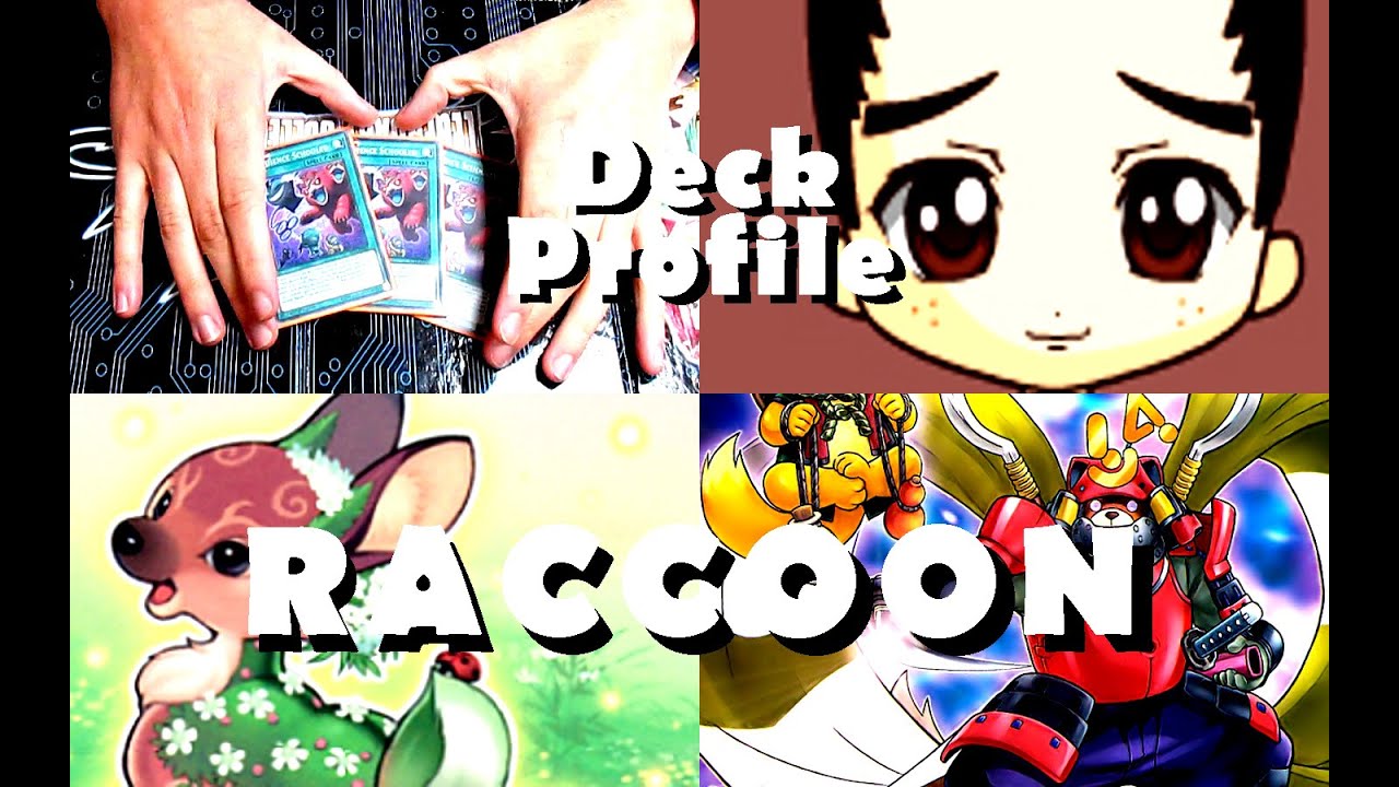 RACCOON Deck Profile - Cute But Powerful! Yugioh October ...