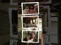 Brown and White Modern Family Recaps Moment YouTube Shorts #nature #youtubeshorts #instagram