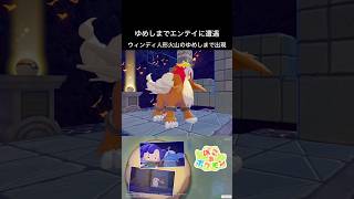 【ぽこあポケモン】ゆめしまでエンテイと遭遇 #shorts #pokemon