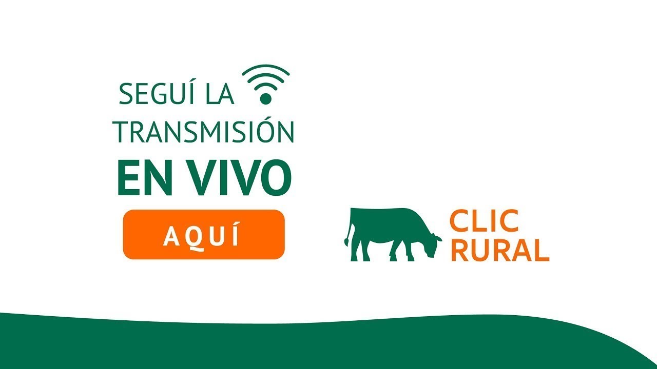 21/02/2026 - 5° Remate - Herrera, Entre Ríos - Cabaña El Luchador