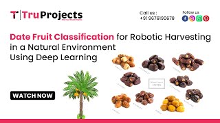 Date Fruit Classification for Robotic Harvesting in a Natural Environment Using Deep Learning