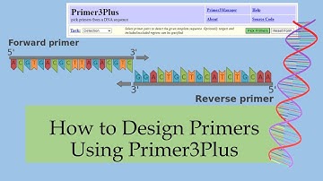 How to Design Primers Using Primer3Plus