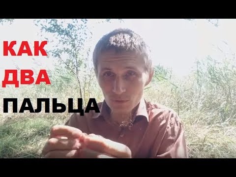 Как заработать деньги. Простой и лёгкий способ для каждого.