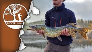 Catching &amp; Cooking Northern Pike over a Campfire