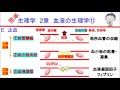 簡単学生理学　２章　血液の生理学⑪(止血の仕組み)