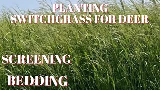 Top 5 Switchgrass planting tips.