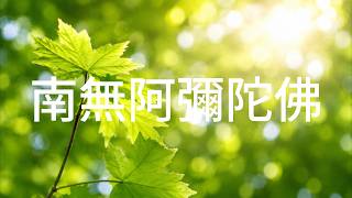《南無阿彌陀佛》: 光明攝取・安心念佛｜ 療癒佛曲・安定身心・淨土念佛音樂