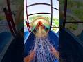 bella ciao playground parkour water slide pov