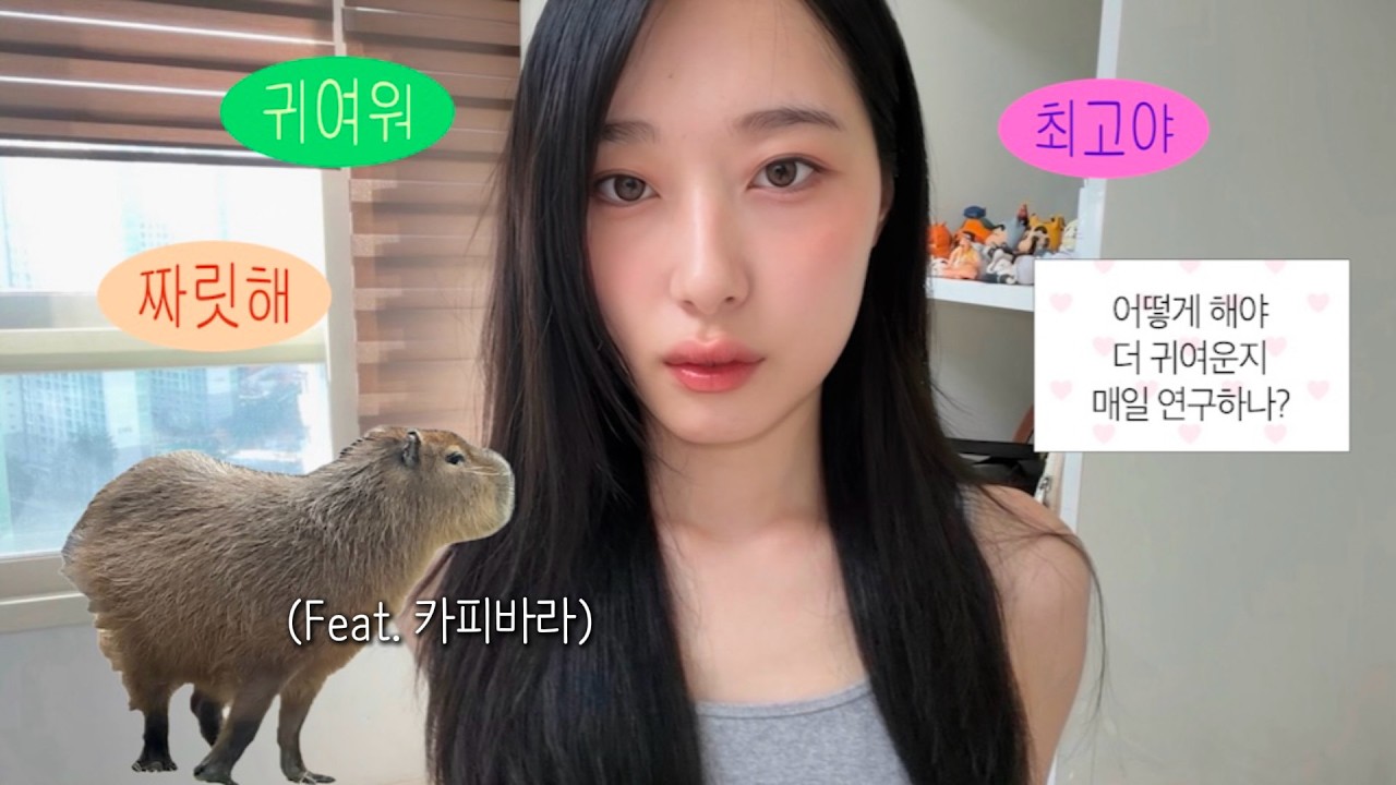 한국에서 카피바라 실제로 보면 생기는 일