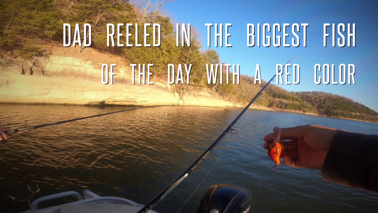 TROLLING CRANKBAITS ! Arkie Lures.  