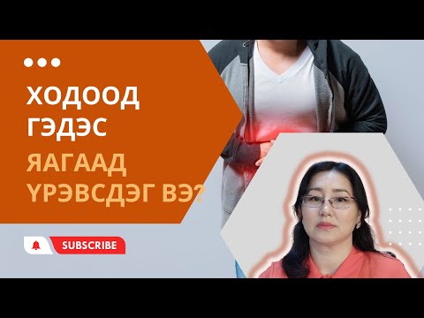 Видео: Ходоод яагаад хурхирдаг вэ?