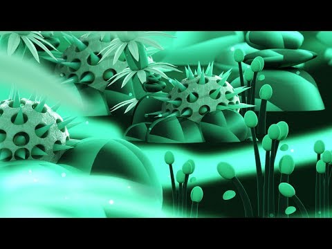 Moon B — MOON B – Welcome (Official Video)