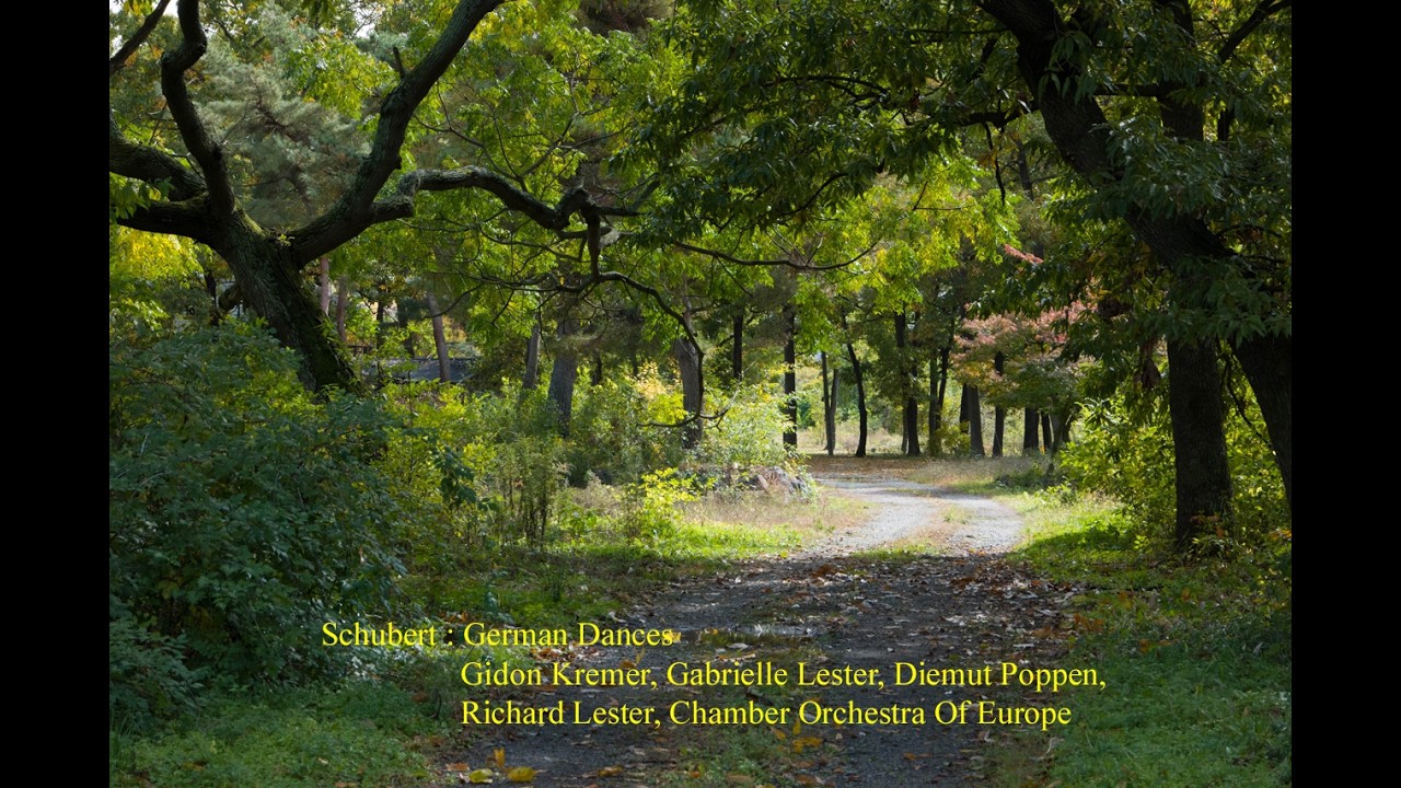 Schubert : German Dances