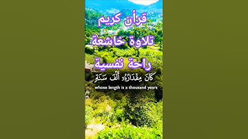 تلاوة خاشعة قرأن كريم راحة نفسية بصوت جميل #قران_كريم #قرآن #elmulquranعلم