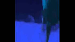 Yes reaction gif video
