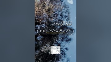 ما تيسر من سورة الصف بصوت | احمد عبدالهادي