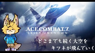 【ACE COMBAT  7】#5  懲罰兵から脱したよ！！