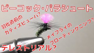 【フライタイイング】ピーコック･パラシュートを巻いてみた！カディスピューパやメイフライのフローティングニンフ、テレストリアルとしても使える！簡単に巻けて良く釣れるオススメのフライ！