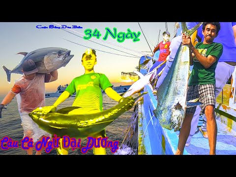 Video FULL 34 NGÀY RA HOÀNG SA CÂU CÁ NGỪ ĐẠI DƯƠNG VÀ BỦA... - youtube