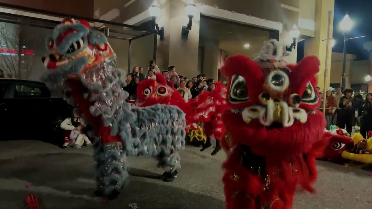 GOLDEN TURTLE LION DANCE ASSOCIATION @ VIETNAM TOWN SAN JOSE 2026