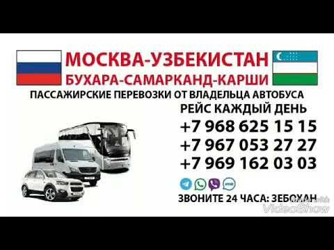 В узбекистан можно ехать. Москва Ташкент автобус Москва Ташкент автобус. Автобус Ташкент Москва Ташкент автобус. Россия Узбекистан автобус. Москва Узбекистан автобус есть.