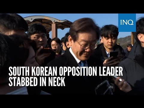 South Korean opposition leader stabbed in neck