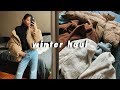 WINTER TRY-ON HAUL 2020 | Zara, Lulus, BB Dakota